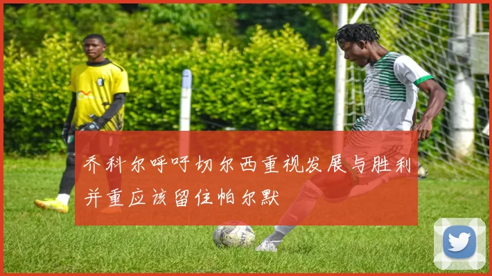 乔科尔呼吁切尔西重视发展与胜利并重应该留住帕尔默