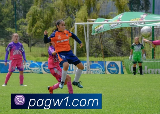 PA电竞官网APP 高清赛事图